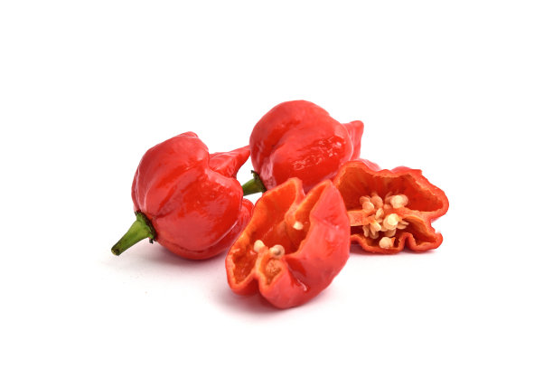 卡罗来纳死神，世界上最辣的辣椒图片下载