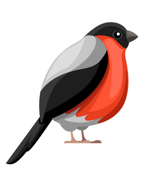红腹灰雀鸟。平面卡通人物设计。色彩斑斓的鸟图标。可爱的红腹灰雀模板。冬天的鸟。矢量插图孤立在白色背景图片下载