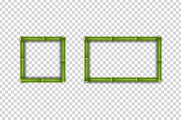 矢量现实隔离竹框架模板装饰和布局覆盖在透明的背景。素材图片