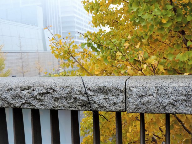 多雾的早晨。城市景观。图片下载