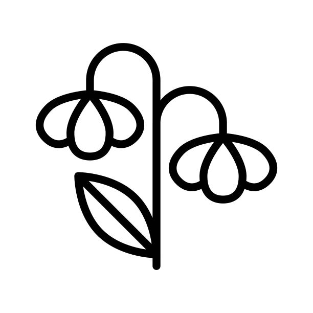 花朵矢量图，孤立的春季线条图标图片下载