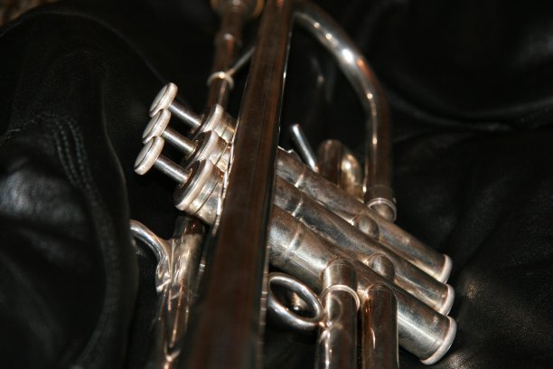 棕色背景上的喇叭瓣图片下载