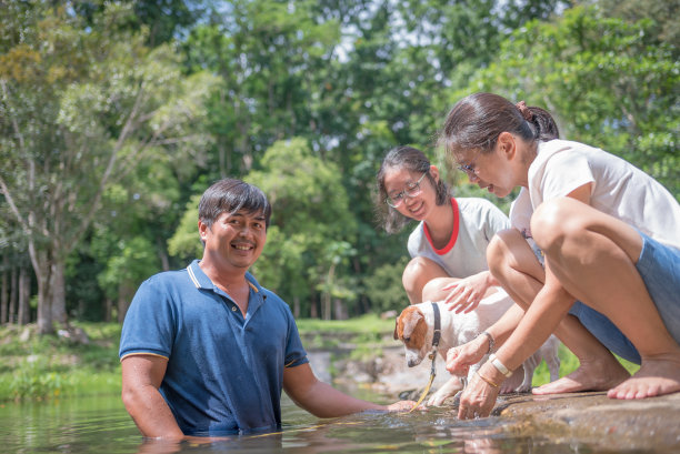 亚洲家庭玩好玩的杰克罗素梗狗在瀑布在夏天的早晨图片下载