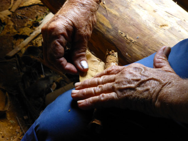 老年人卷着古巴雪茄图片下载