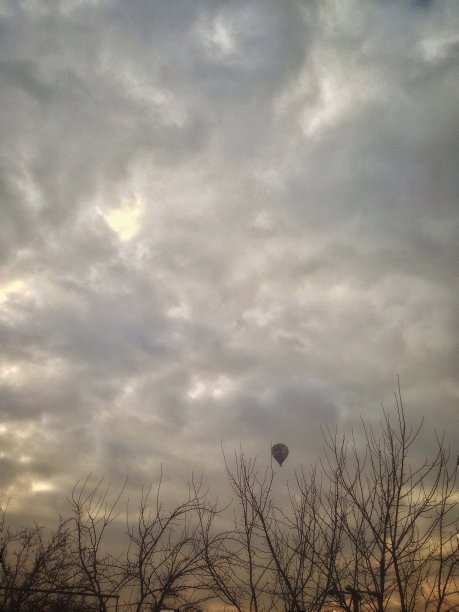 枯树和气球图片下载