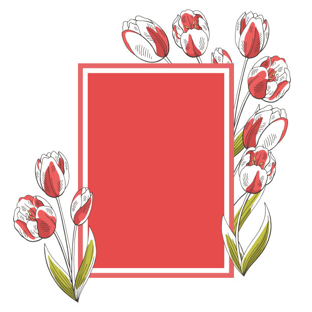 郁金香花图形颜色背景花束素描插图向量素材图片