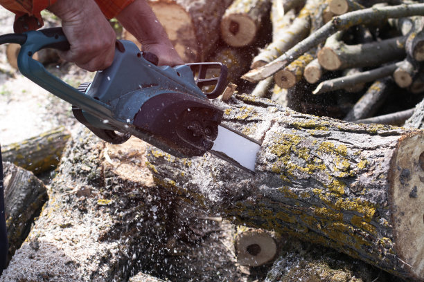 伐木工人在明亮的阳光下锯树。一个人用电锯锯木头。建筑和木材。股票的背景,照片。图片下载