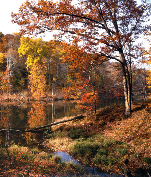 秋天风景如画的场景图片下载