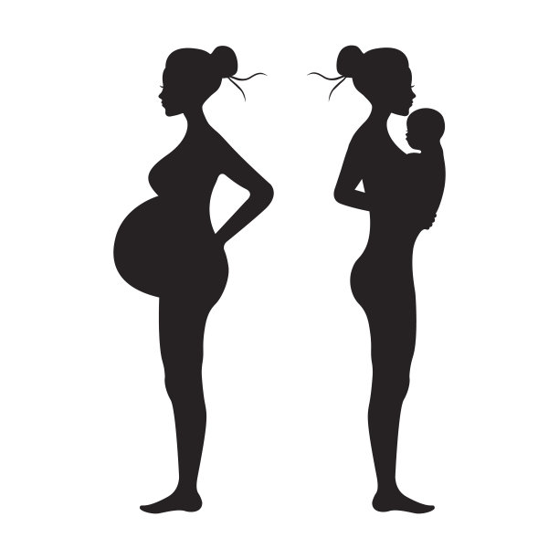 怀孕女性轮廓矢量插画：女性怀孕期间的身体变化图片下载