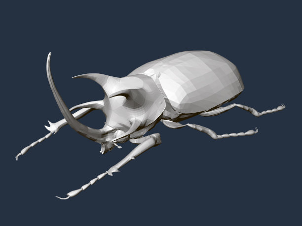 3 d多边形甲虫。等距视图。矢量图图片下载