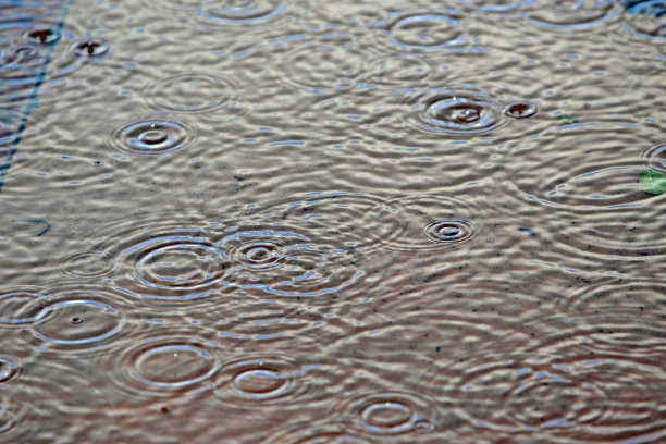 雨环图片下载