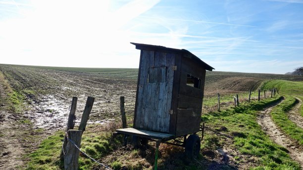 移动射击场图片下载