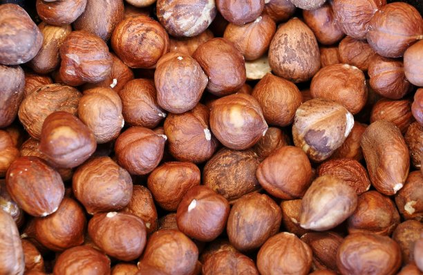 榛子桩、背景图片下载