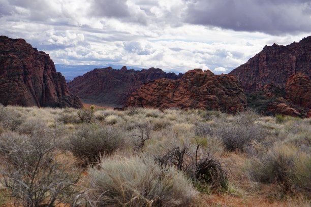 雪谷州立公园图片下载