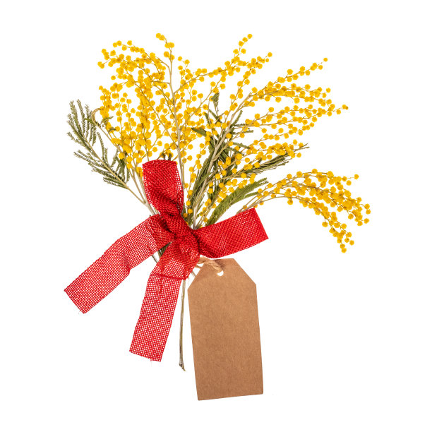 一束含羞草花，白色背景上有价格标签图片下载