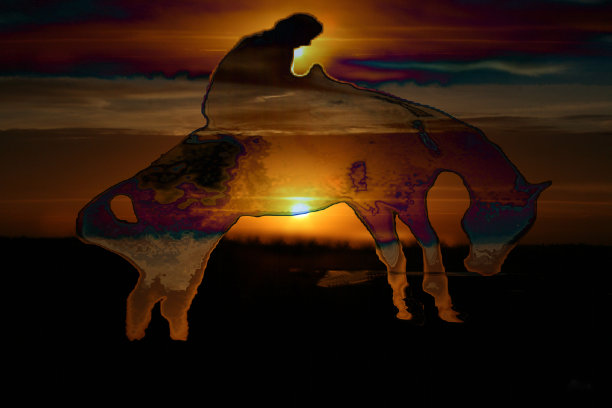 牛仔愿景——连锁反应图片下载