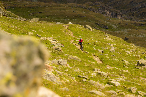 在阿尔卑斯山的一条小道上骑山地车的人图片下载