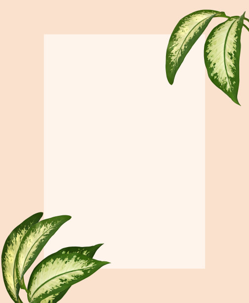 热带叶子孤立在粉红色，白纸与文字空间，概念夏季图像。工作室拍摄的白杨叶，棕榈组成。图片下载