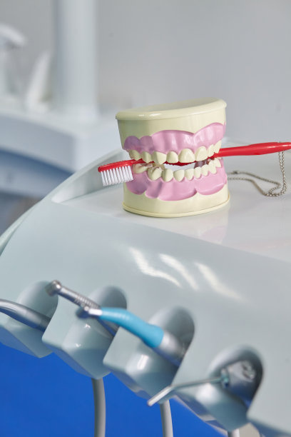 牙颌模型图片下载