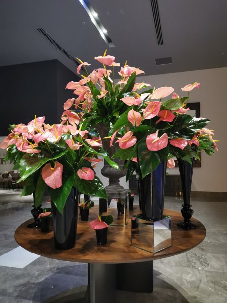 一大束花图片下载