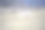 狗公园的拉布拉多寻回犬图片下载