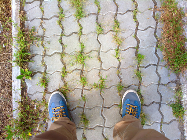 瓷砖上有绿色的草腿。脚放在瓷砖上。图片下载