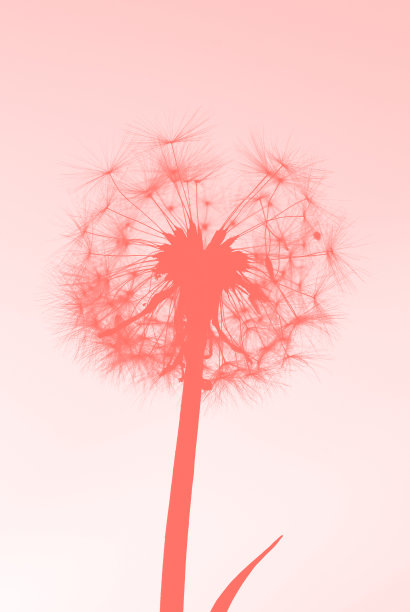 自然美图片下载