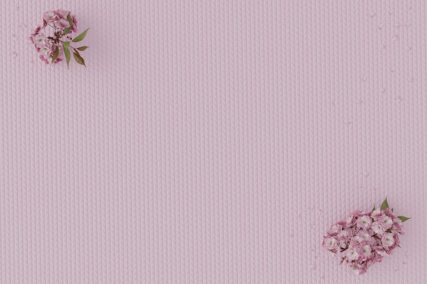 日本樱花铺在棉布上的3d渲染图片下载