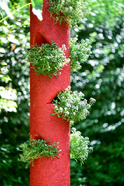 垂直的花坛。图片下载