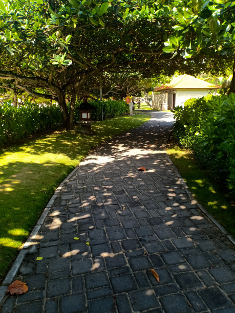 美丽的花园与阴影的道路图片下载