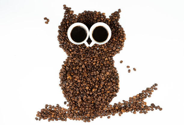 白色背景下的咖啡猫头鹰图片下载
