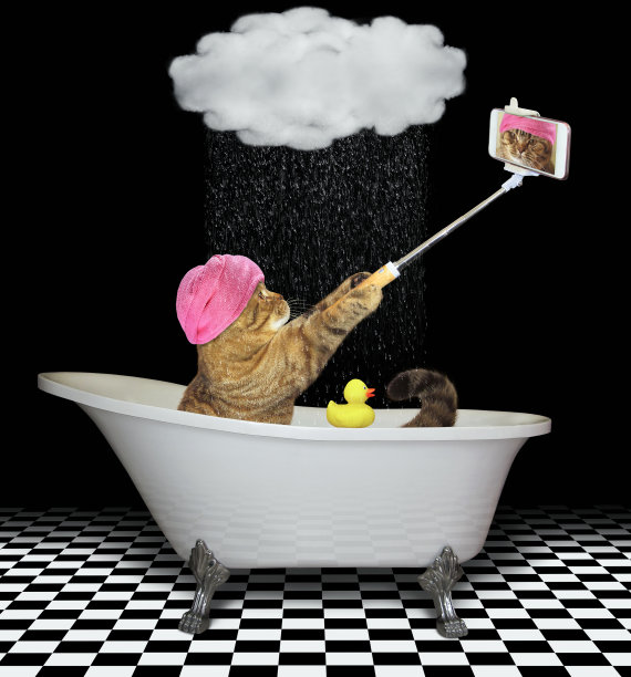 猫咪用手机洗澡图片下载