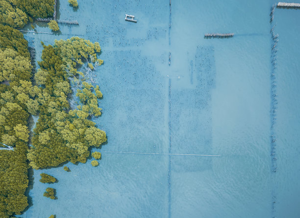 有小路环绕的海滩和树林。高角度的照片。图片下载