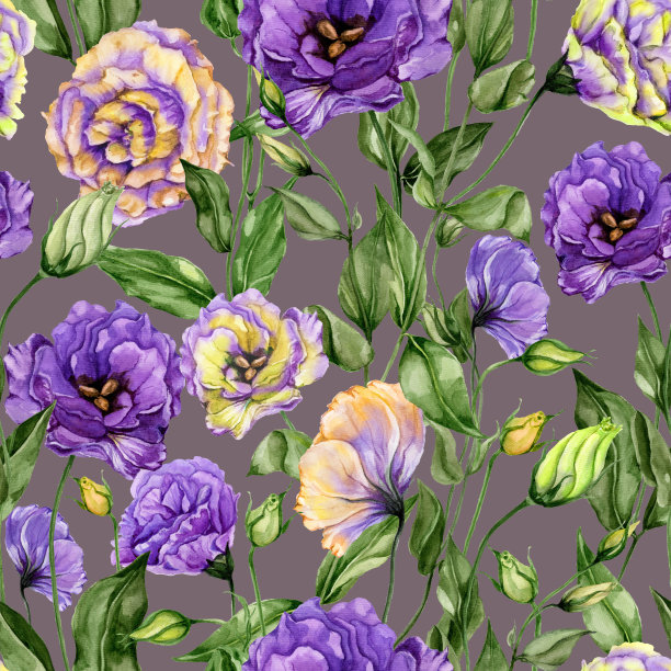 灰色背景上的洋桔梗花与叶子和花苞无缝花卉图案水彩画手绘植物插图图片下载