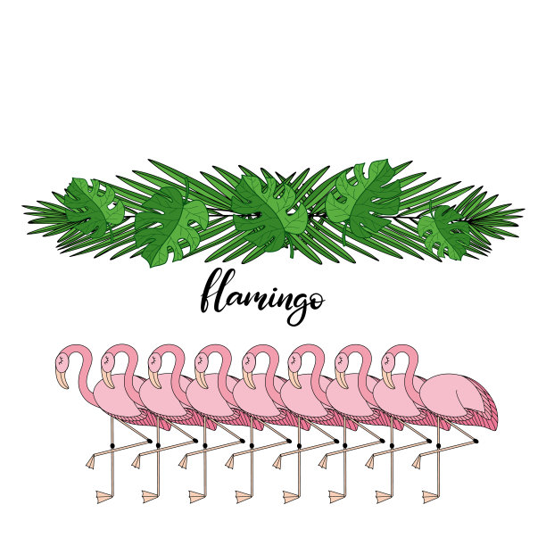 Famingo与热带叶字母矢量插图图片下载