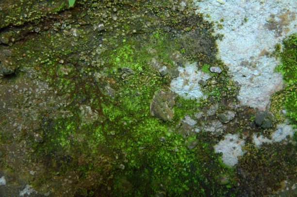 背景/纹理图片下载