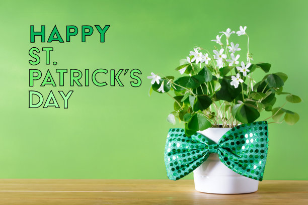 圣帕特里克节三叶草图片下载