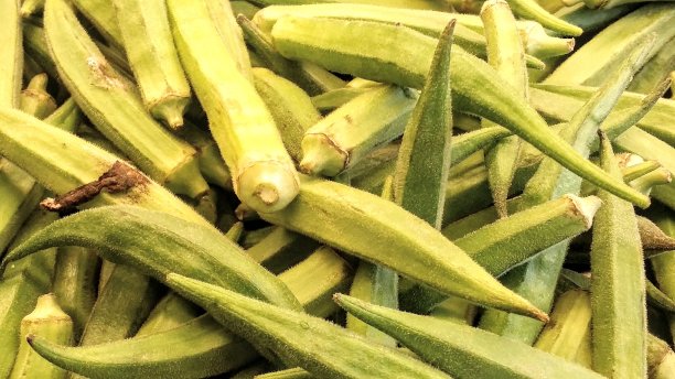 秋葵或秋葵或女士手指蔬菜-健康饮食图片下载