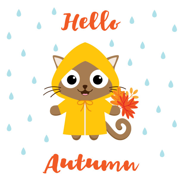 猫在雨衣图片下载