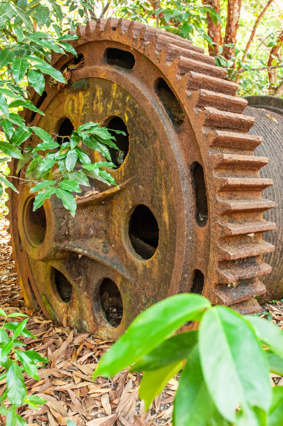 废弃锡矿的大型生锈的挖泥船齿轮。枯叶落在地上，热带森林为背景。图片下载