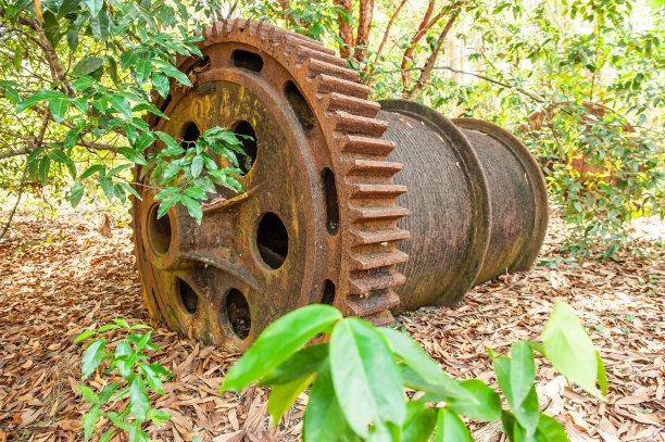 废弃锡矿的大型生锈的挖泥船齿轮。枯叶落在地上，热带森林为背景。图片下载