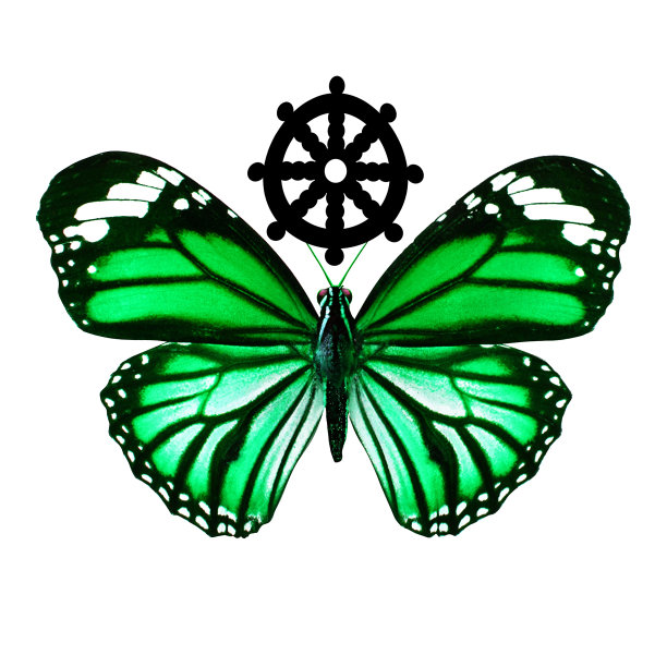 热带绿色蝴蝶。在白色背景上隔离图片下载