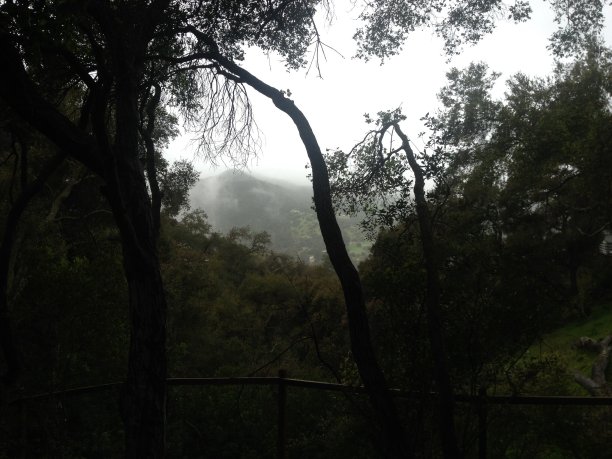 山脉和雾图片下载