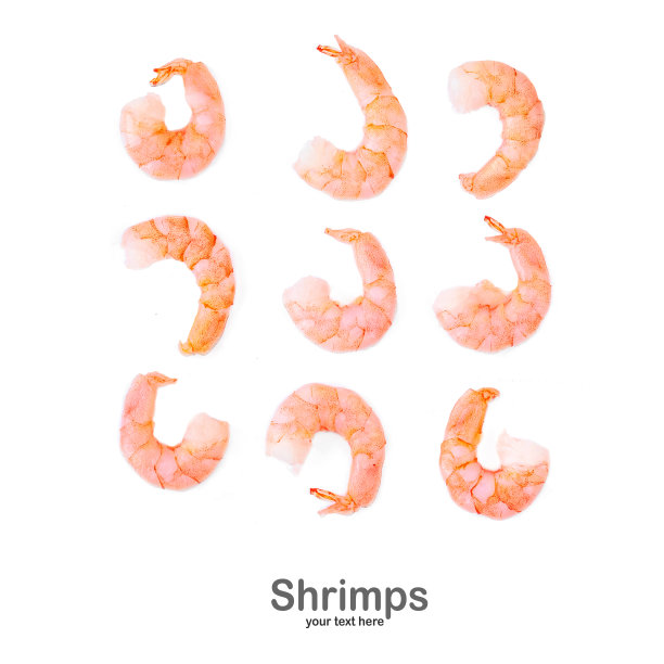 无缝模式与虾。在白色背景上孤立的鲜虾。俯视图图片下载