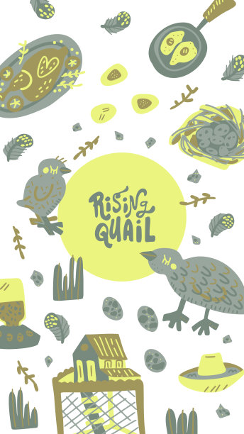 鹌鹑养殖手绘矢量集图片下载