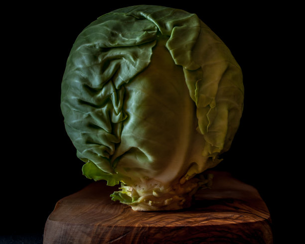 的白菜图片下载