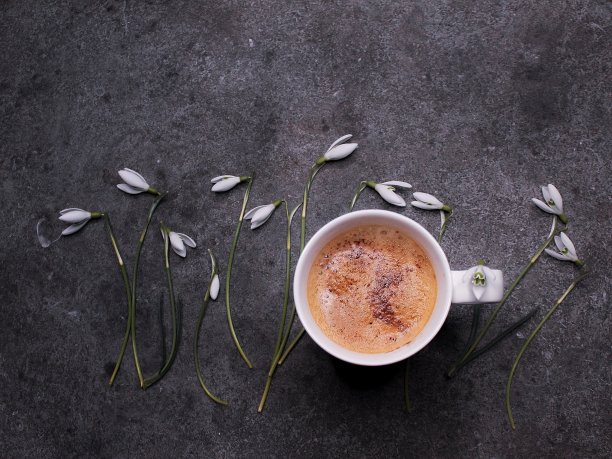 咖啡杯和雪花莲图片下载