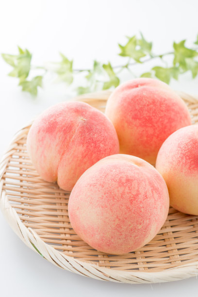 日本桃。图片下载