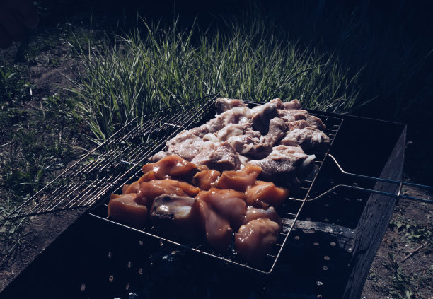 近距离观看肉类正在烧烤派对在复古风格的照片图片下载