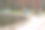 秋天芬兰的圆池塘里有鸭子。图片下载